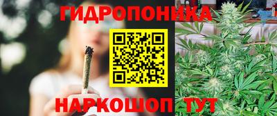 мяу мяу мука Рыбинск
