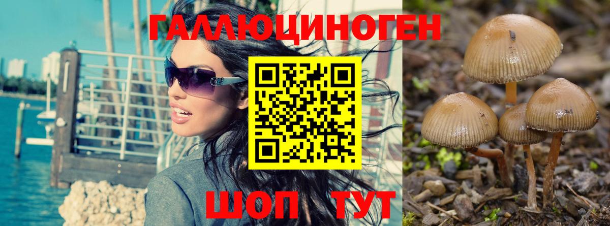 Галлюциногенные грибы мухоморы  Вход с VPN  Новошахтинск 