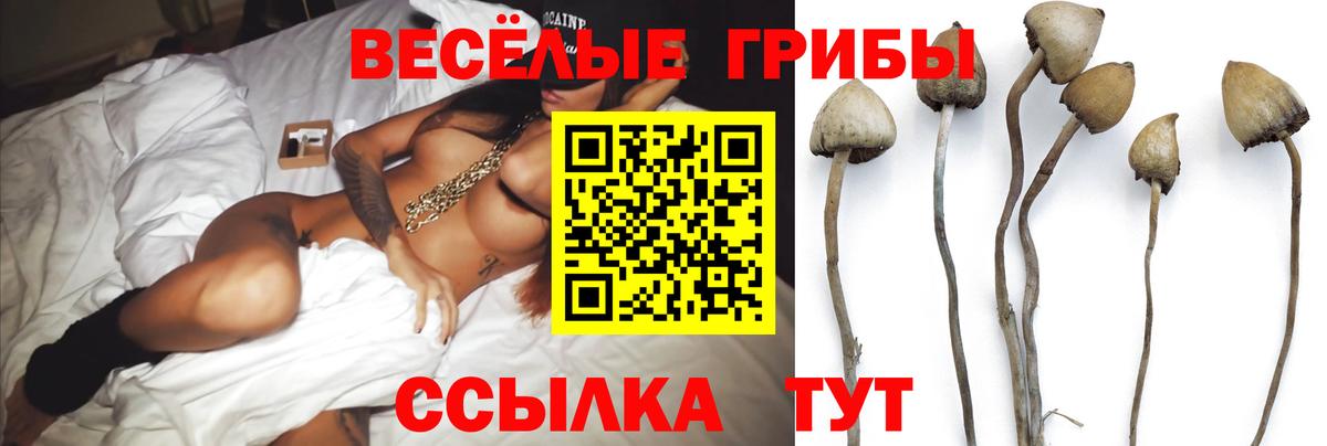 Псилоцибиновые грибы MAGIC MUSHROOMS Новошахтинск